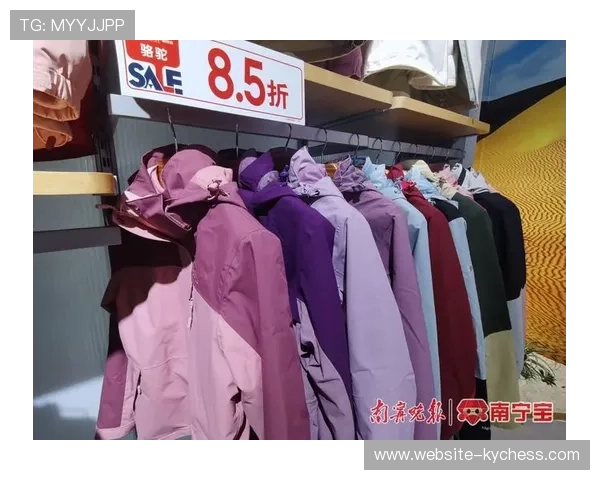 双11叠加全运会效应 运动羽绒服销量翻倍跑步鞋冲锋衣增长明显